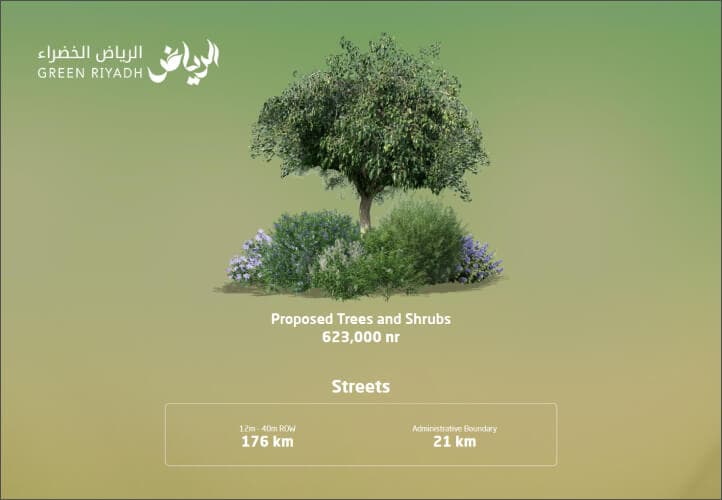 Green Riyadh case study visual