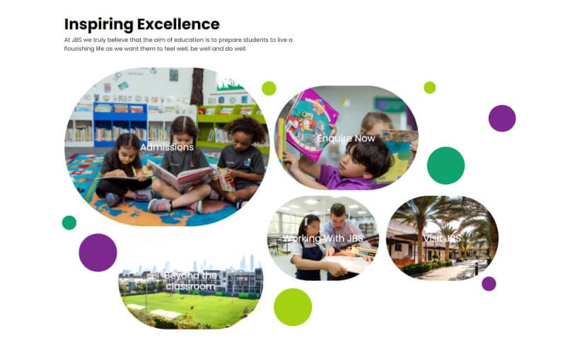 JBS case study visual