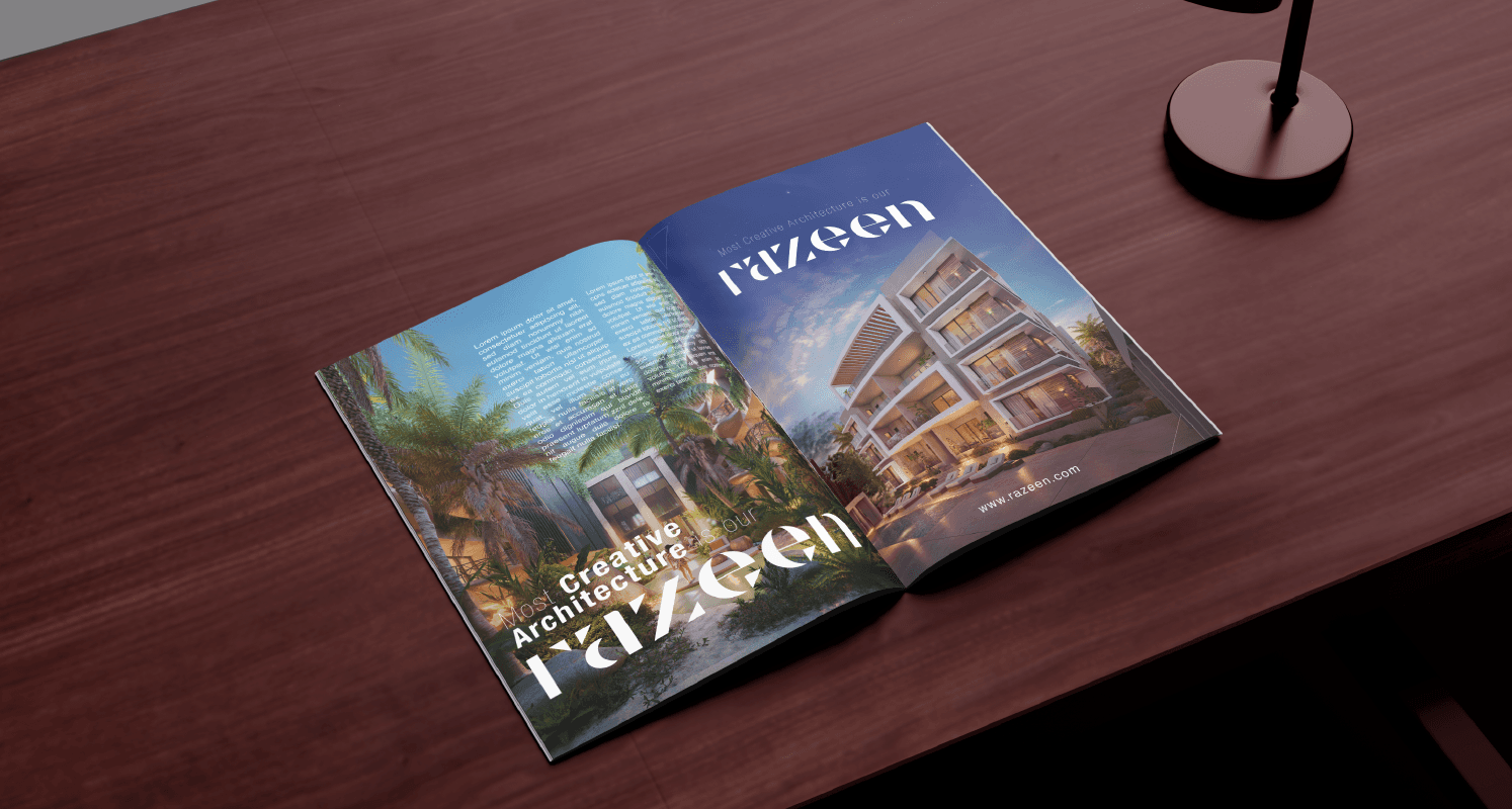 Razeen case study visual