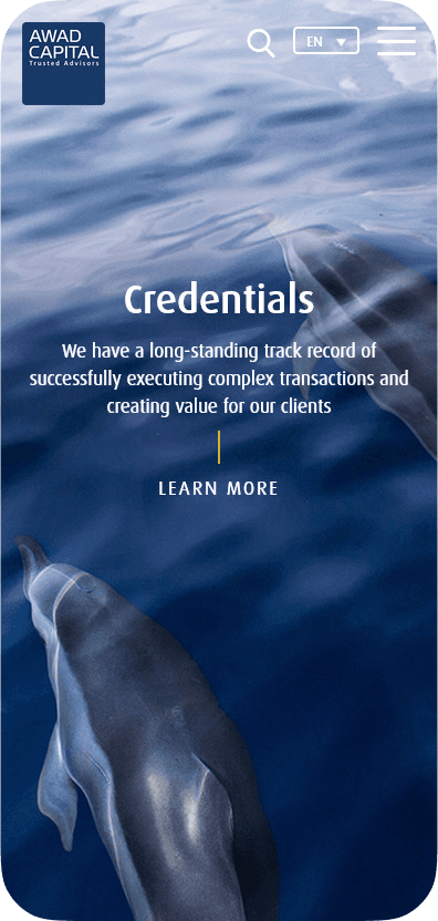 Awad Capital case study visual