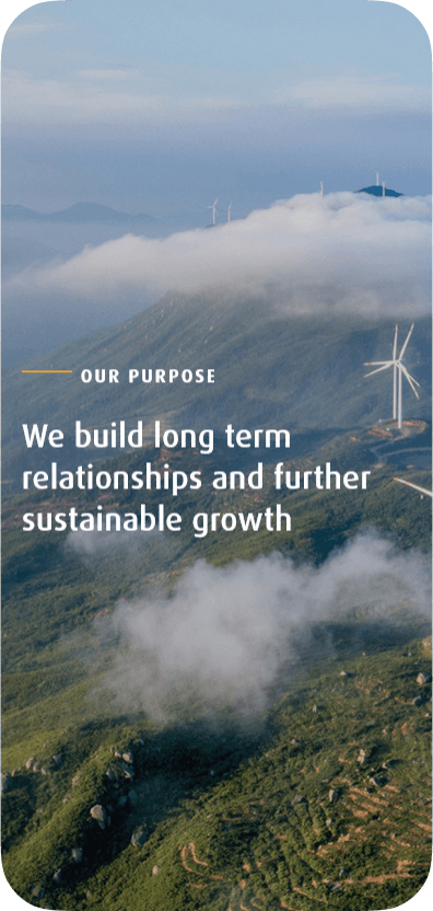 Awad Capital case study visual