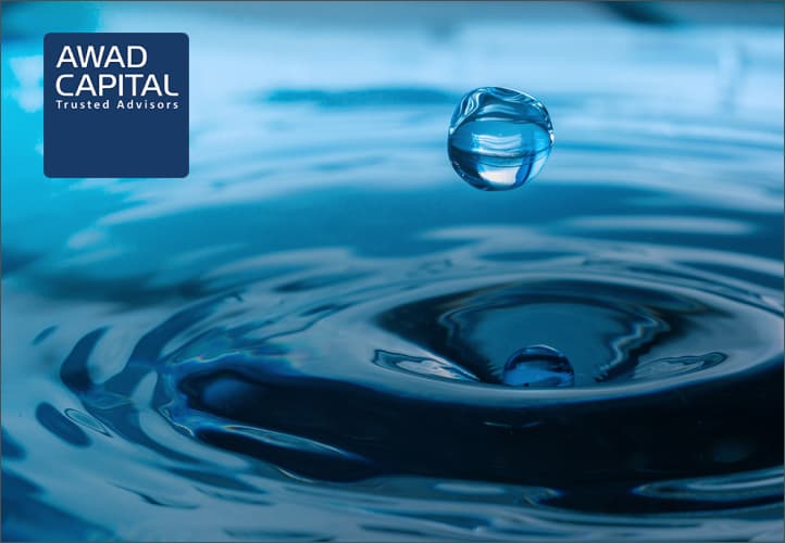 Awad Capital case study visual