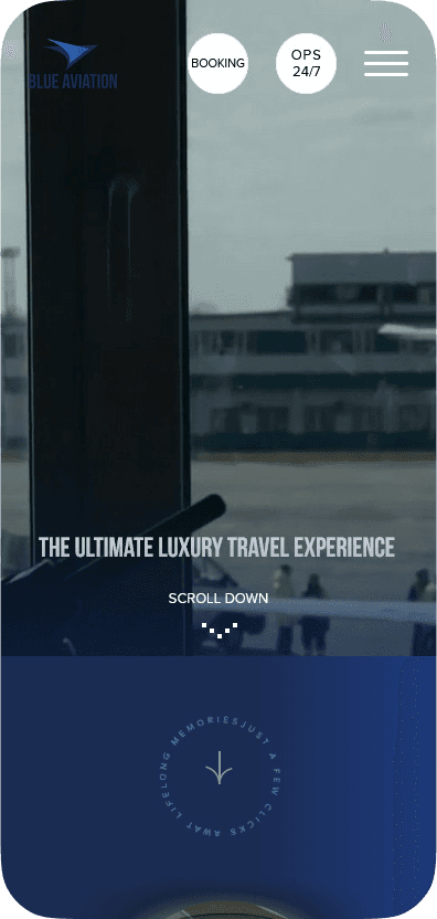 Blue Aviation case study visual