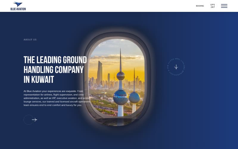 Blue Aviation case study visual