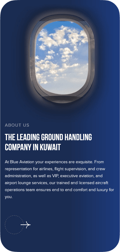 Blue Aviation case study visual