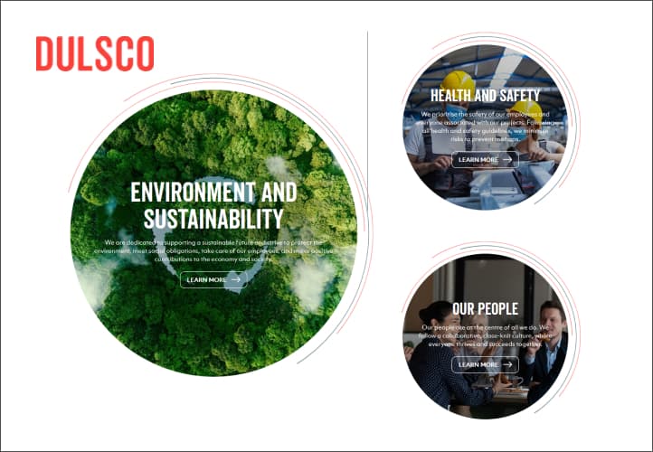 Dulsco case study visual