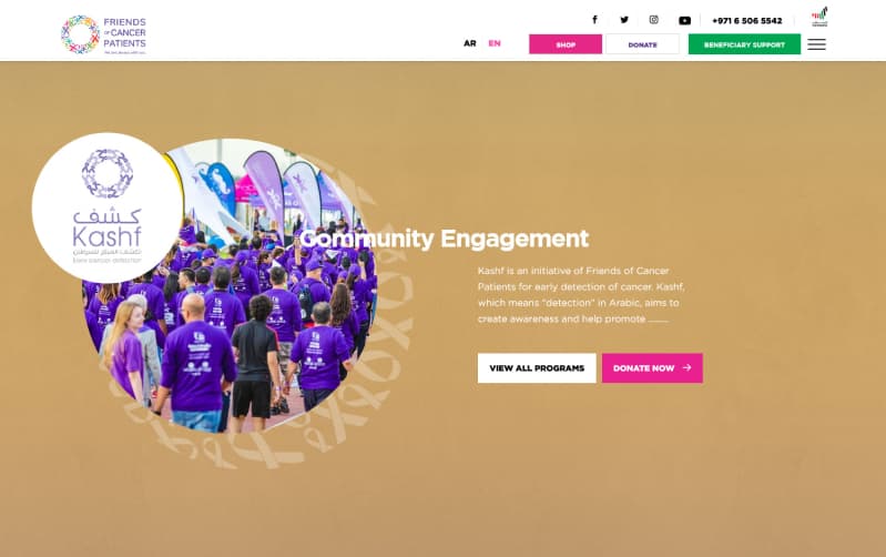 Friends Of Cancer Patients case study visual