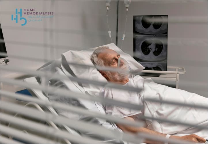 HHD case study visual