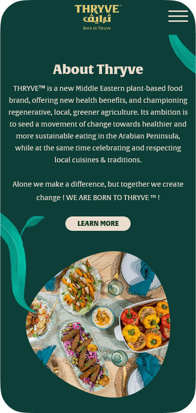 Thryve case study visual