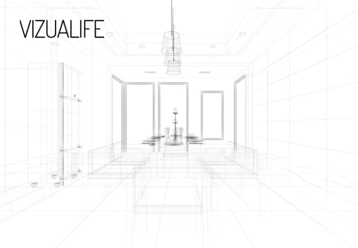 Vizualife case study visual