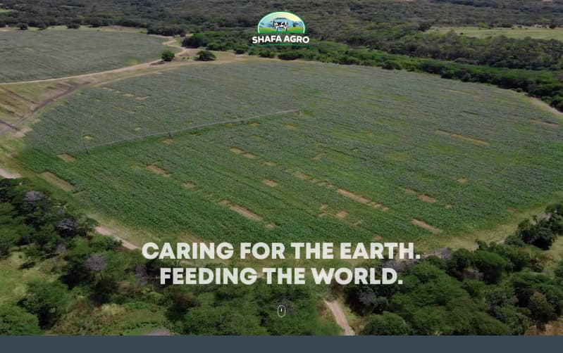 Shafa Agro case study visual