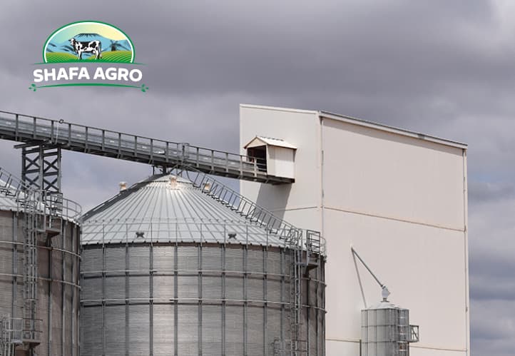 Shafa Agro case study visual