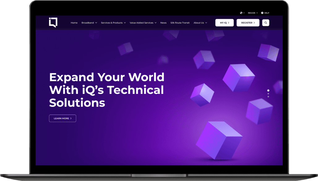 IQ Group case study visual