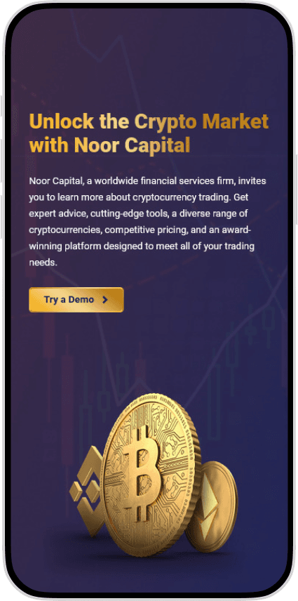 Noor Capital case study visual