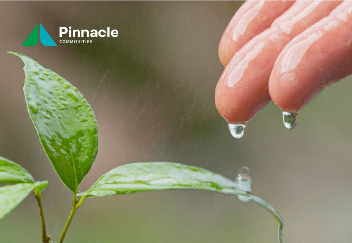 Pinnacle Commodities case study visual