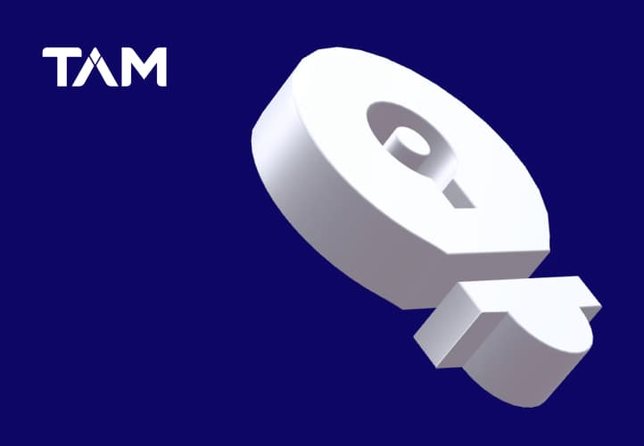 TAM case study visual