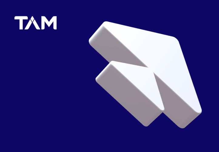 TAM case study visual