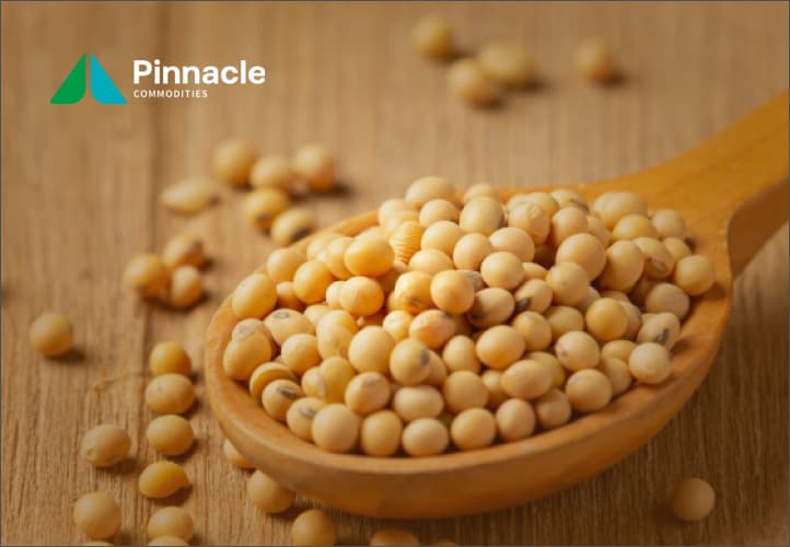 Pinnacle Commodities case study visual