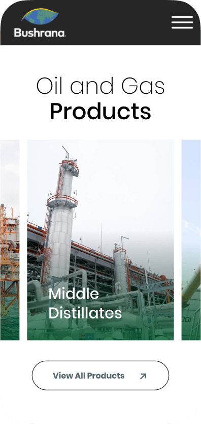 Bushrana Global Trading Co. LLC case study visual