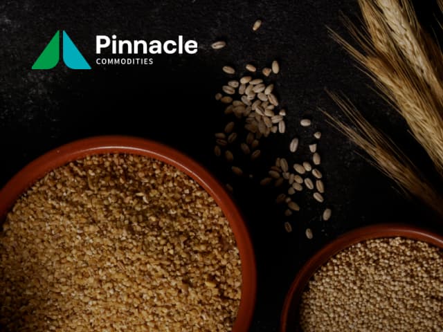 Pinnacle Commodities