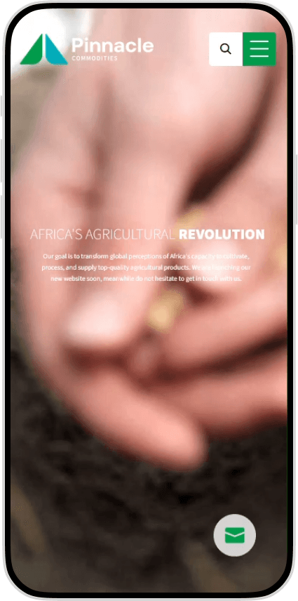 Pinnacle Commodities case study visual