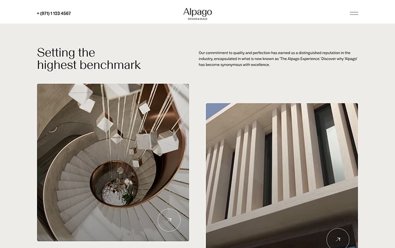 Alpago case study visual