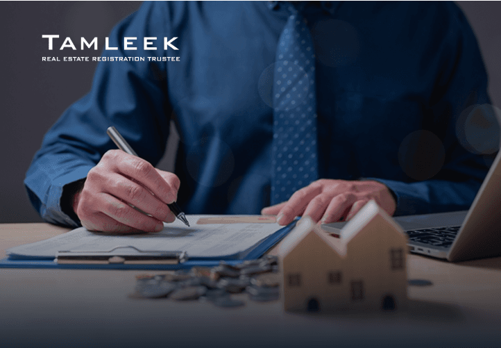 TAMLEEK case study visual