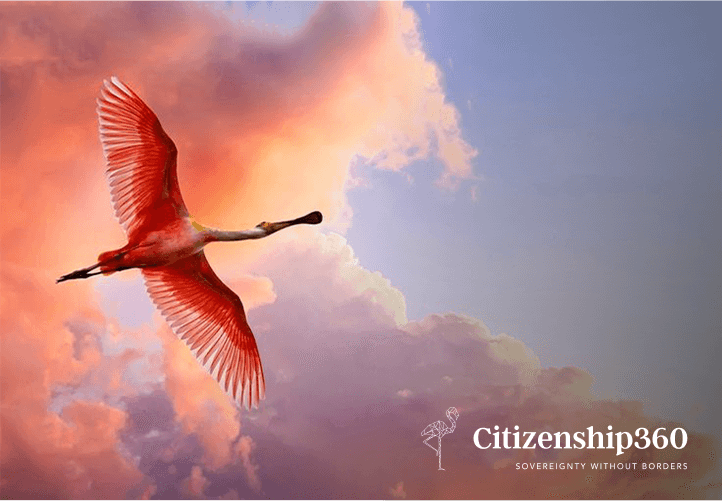 Citizenship360 case study visual