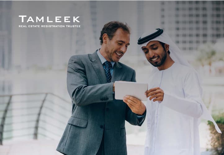 TAMLEEK case study visual