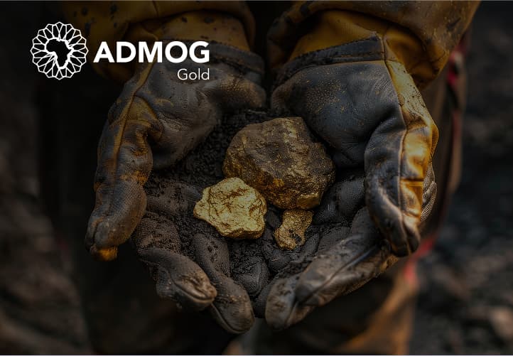ADMOG case study visual