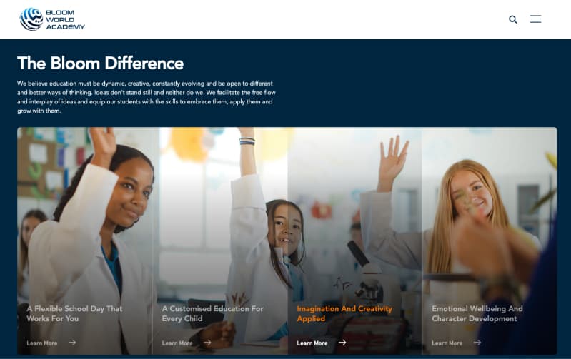 BWA case study visual