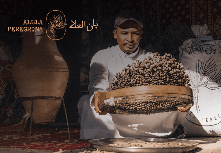 Alula Peregrina case study visual