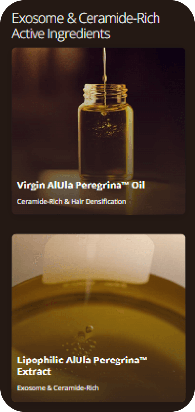 Alula Peregrina case study visual