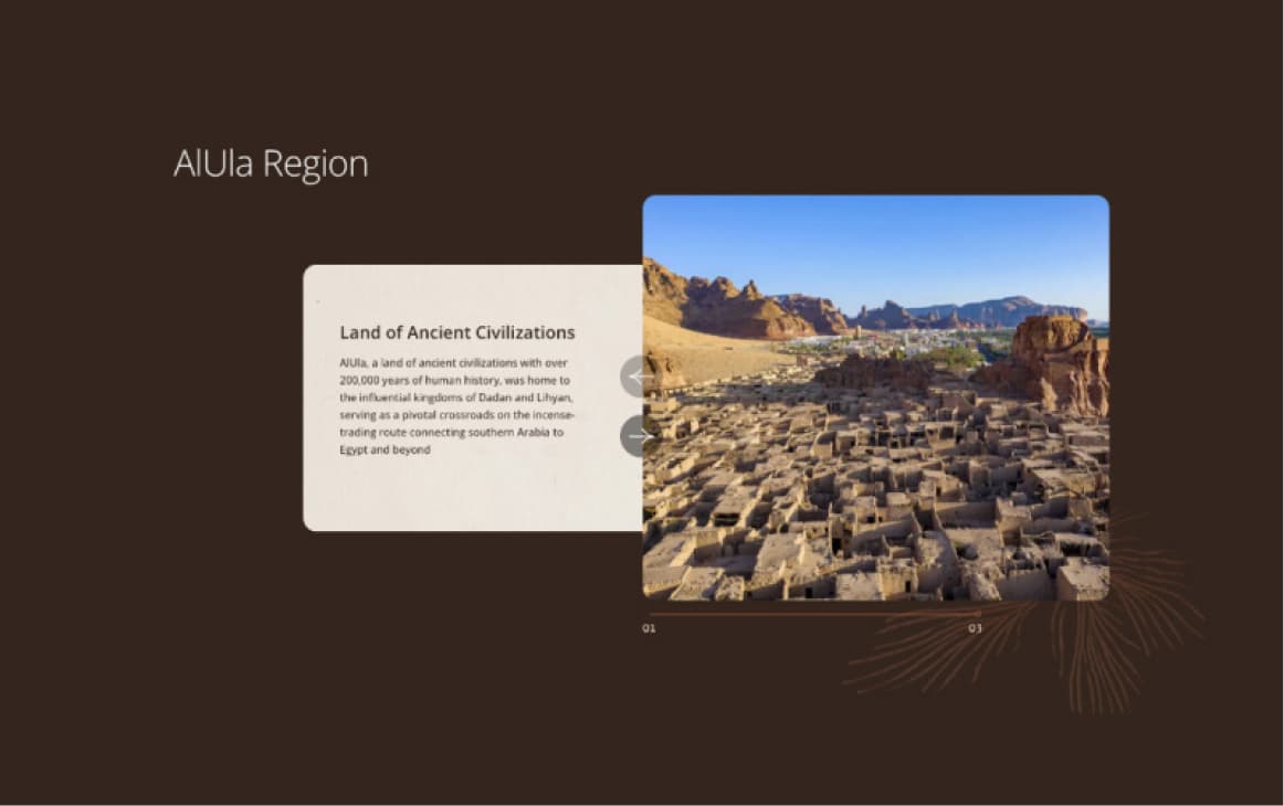 Alula Peregrina case study visual
