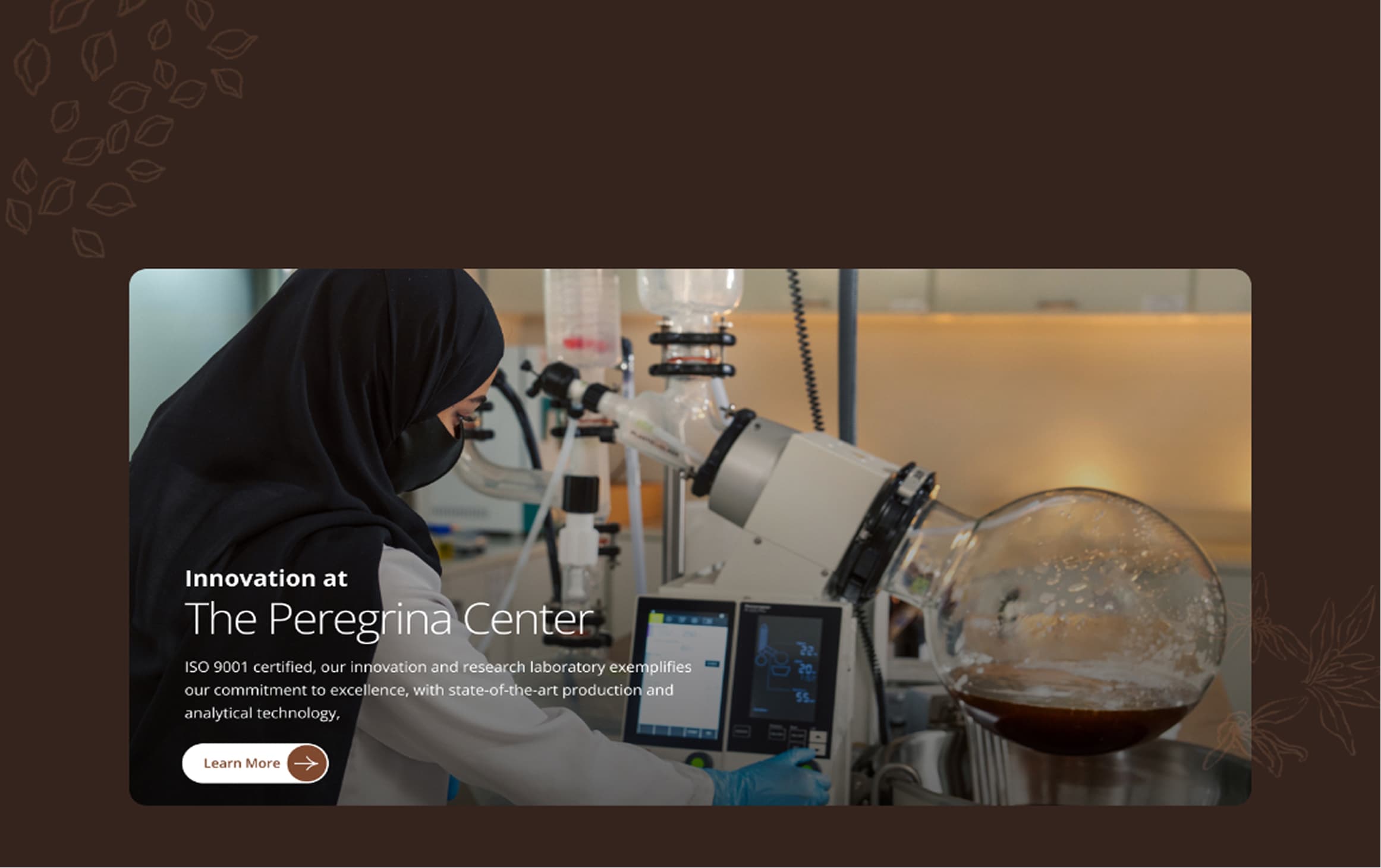 Alula Peregrina case study visual