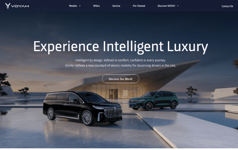 Voyah case study visual