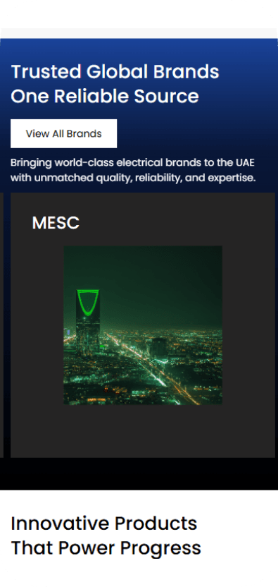 UB Emirates case study visual