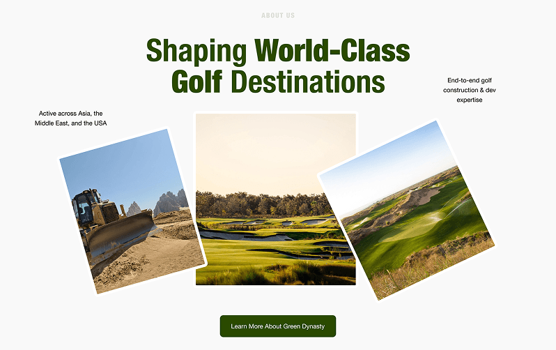 Green Dynasty case study visual