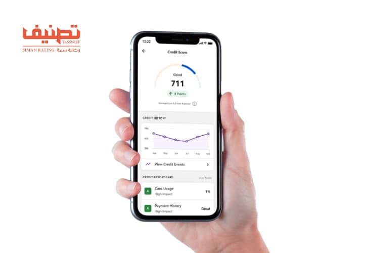 Tassneif case study visual