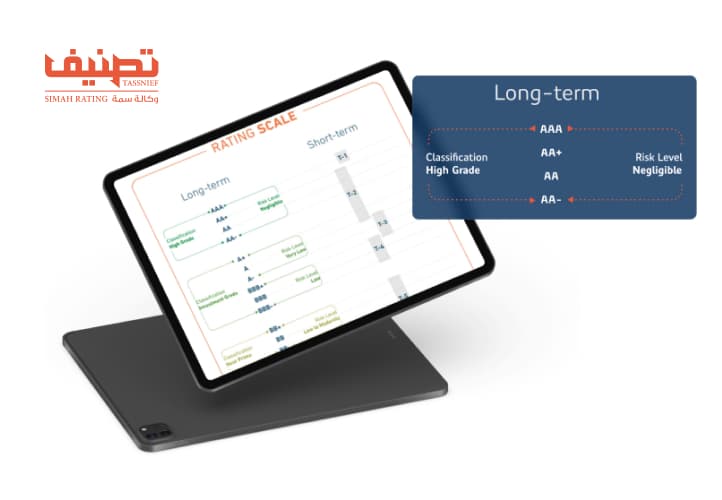 Tassneif case study visual