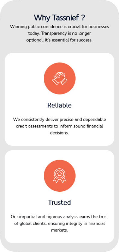 Tassneif case study visual
