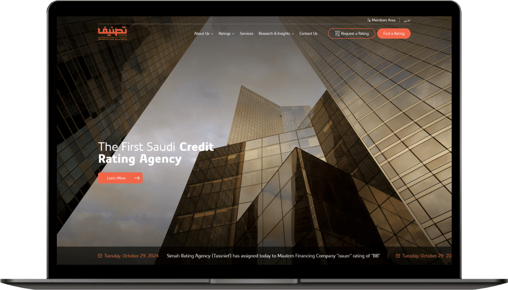 Tassneif case study visual