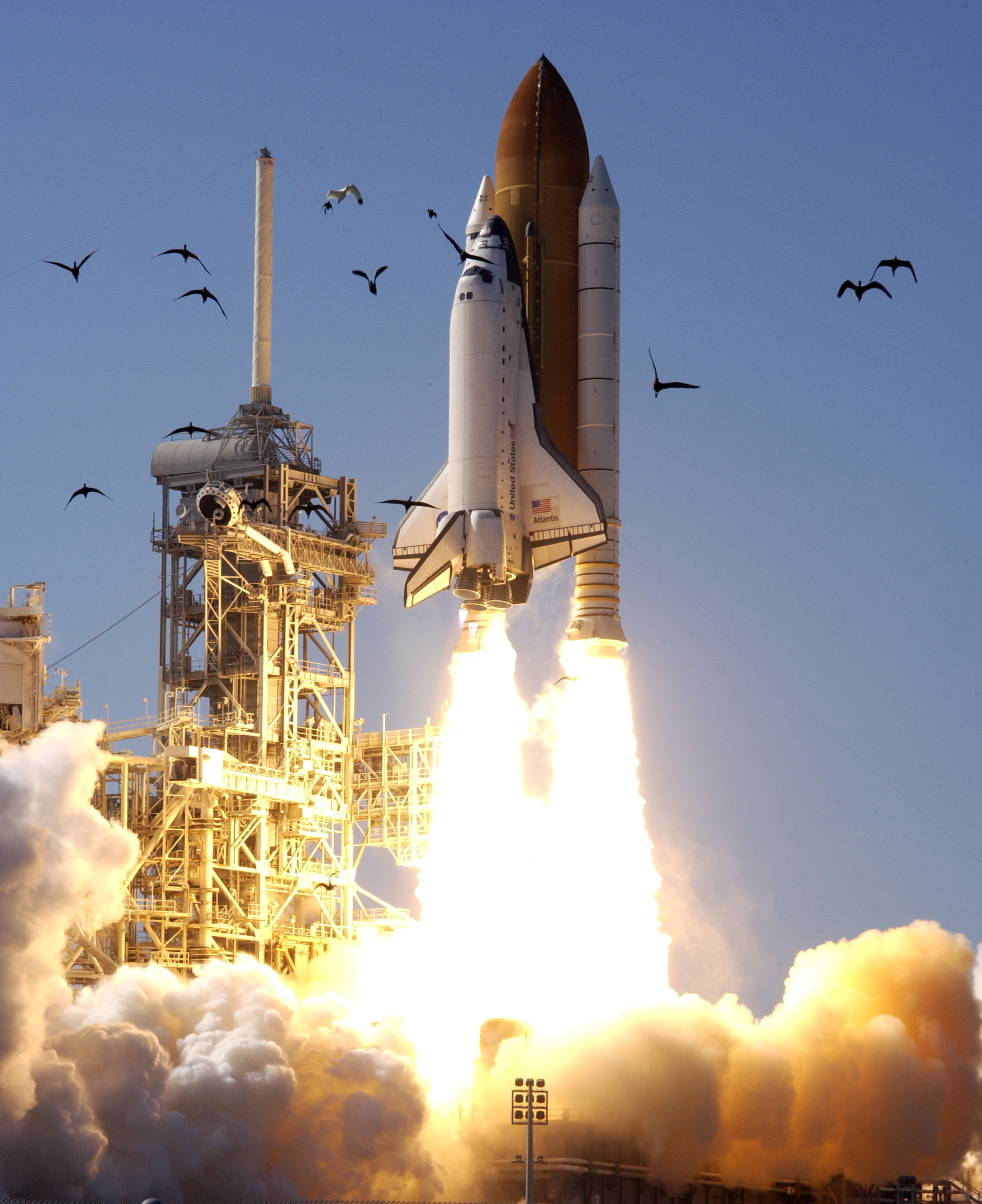 15 Crucial Checks before Launching Your Website