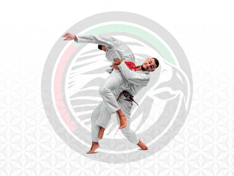 UAE Jiu-Jitsu Federation - Website Design and Web Development By Element8 Dubai