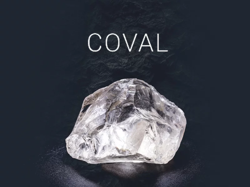 Coval-web-design-Element8