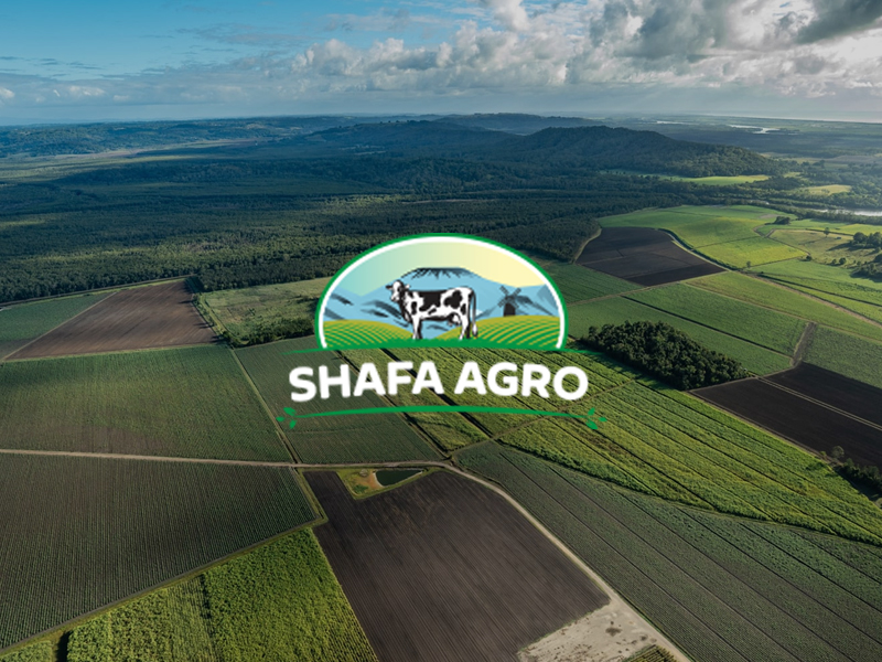 Shafa-Agro-banner-portfolio-web-design